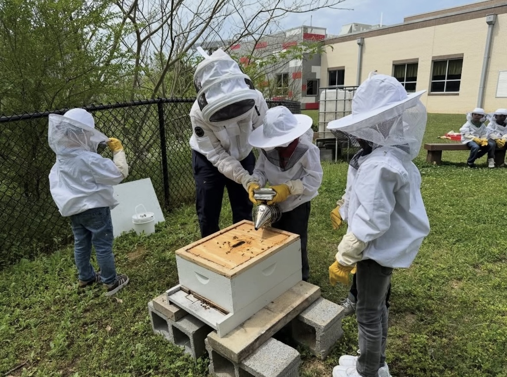 An adult helps a student as the student tends to a bee box outside Grantswood Community School. Other students stand around the bee box. Each person in the photo wears a beekeeping suit.