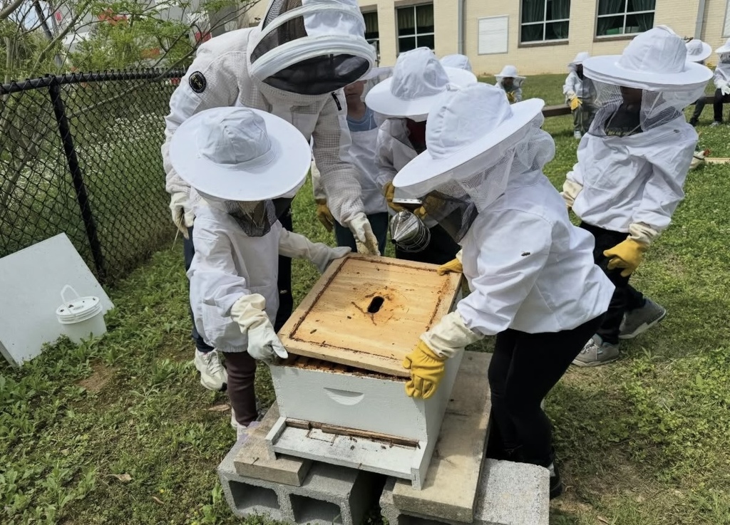Students and adult tend to bee boxes outside Grantswood Community School. Each person in the photo wears a beekeeping suit.