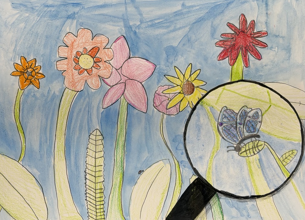 Field of flowers with a magnifying glass looking at a butterfly