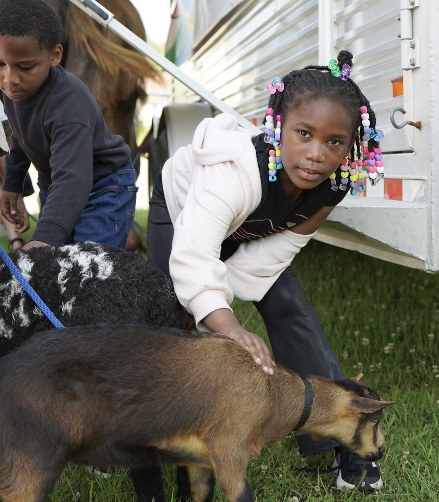 A girl smiles while bending down to pet a goat outdoors.