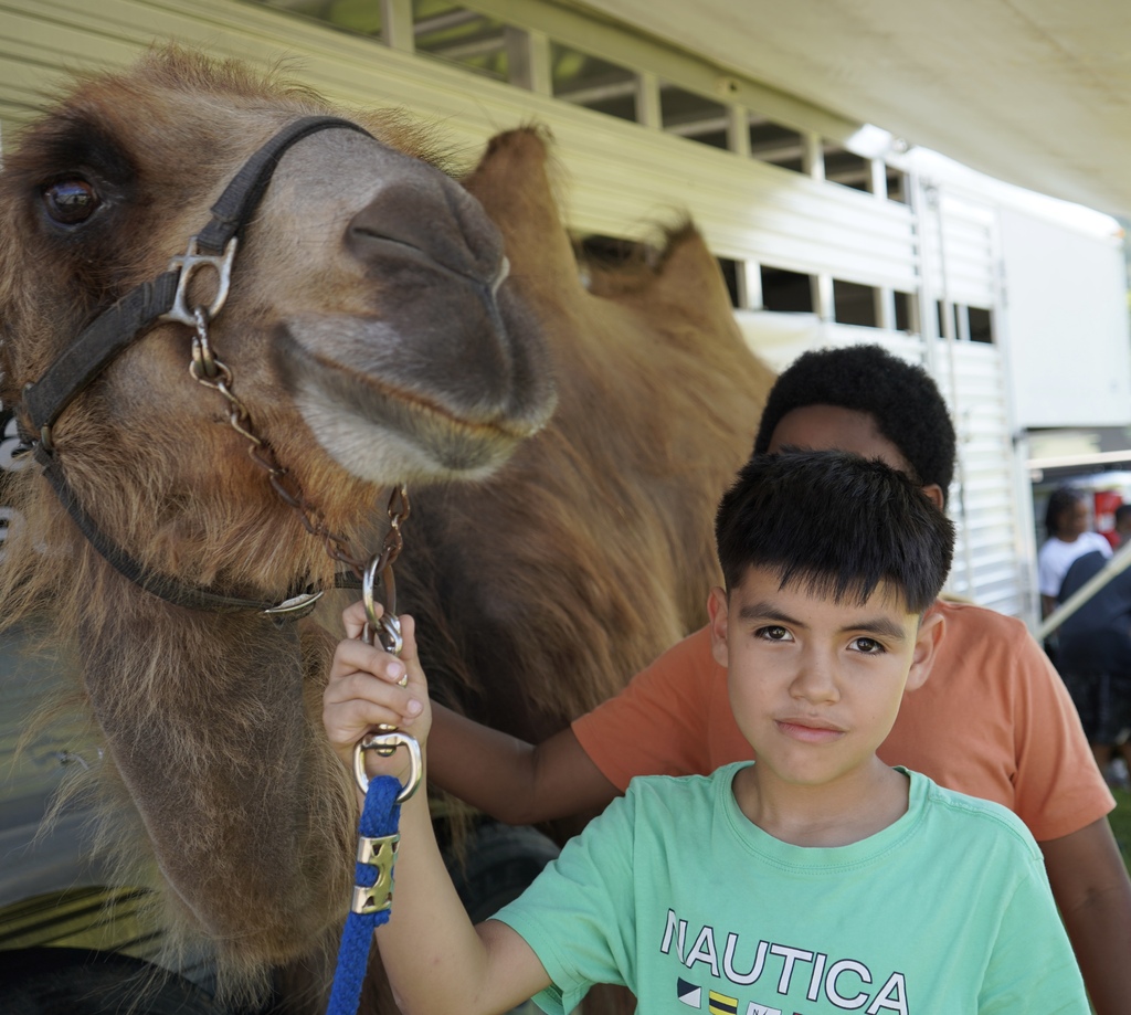 A boy smiles for a photo with a camel while holding a leash attached to the camel's head and neck.