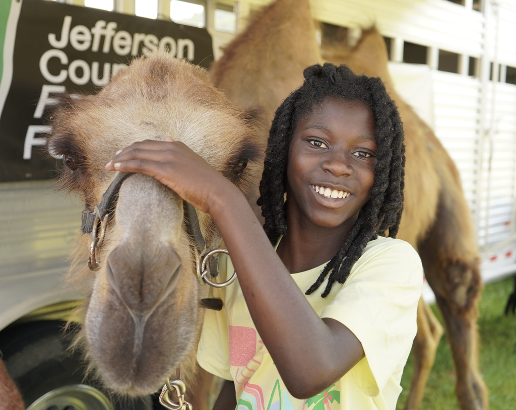 A girl smiles for a photo while petting a camel outdoors.