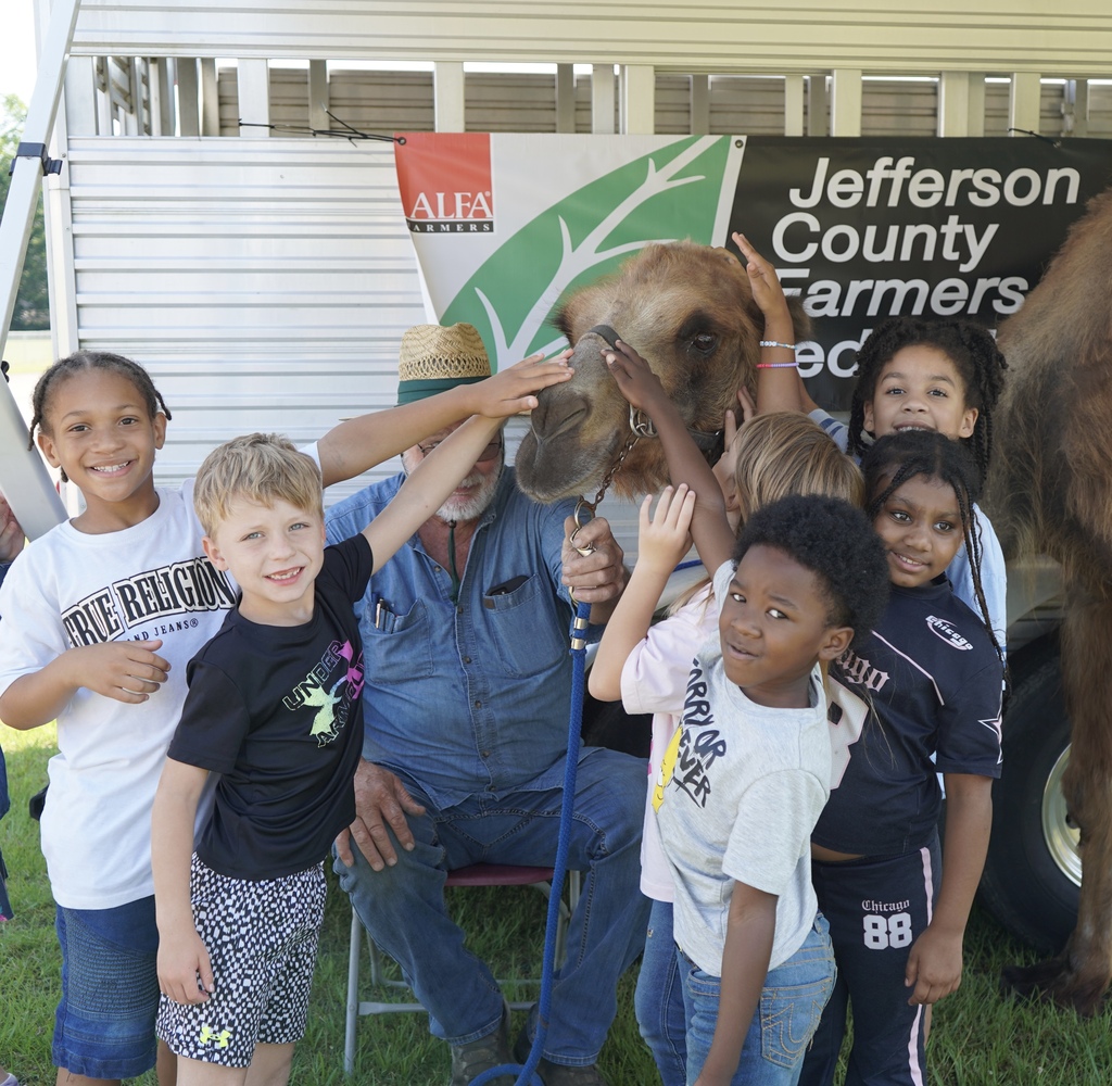 A group of students smile for a photo while petting a camel.