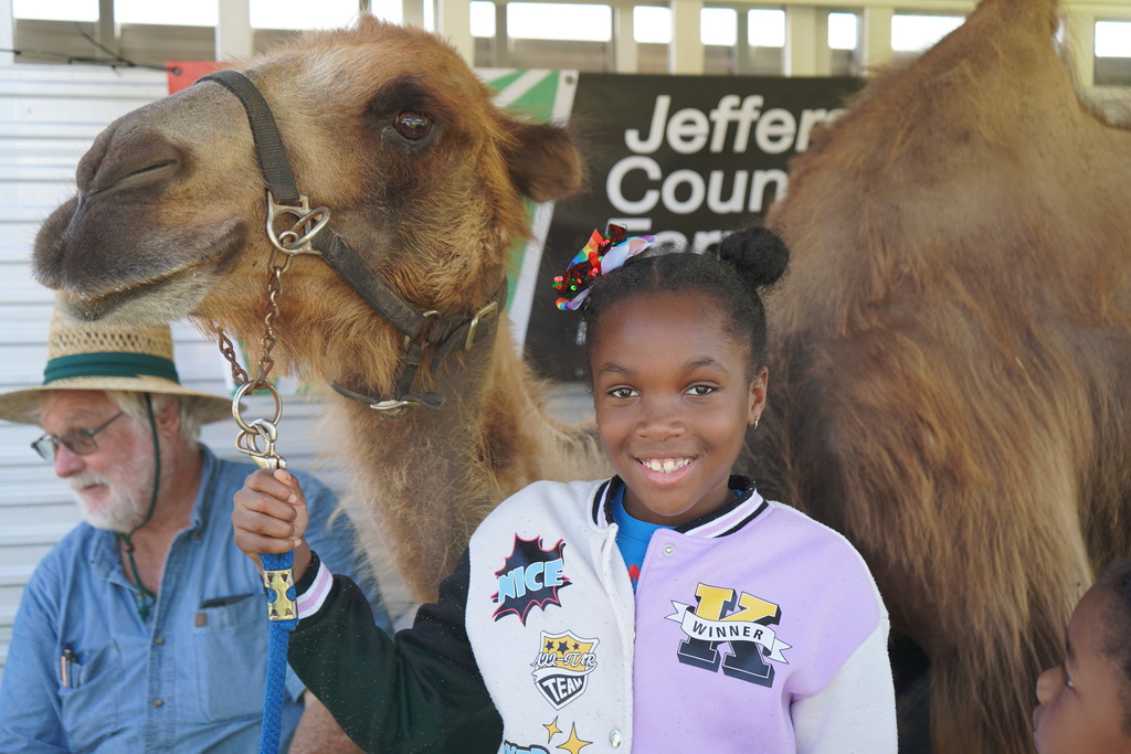 A girl smiles for a photo with a camel while standing outside.