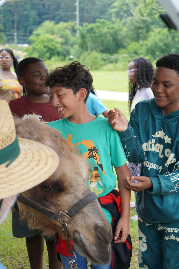 A group of boys smile while petting a camel outdoors.