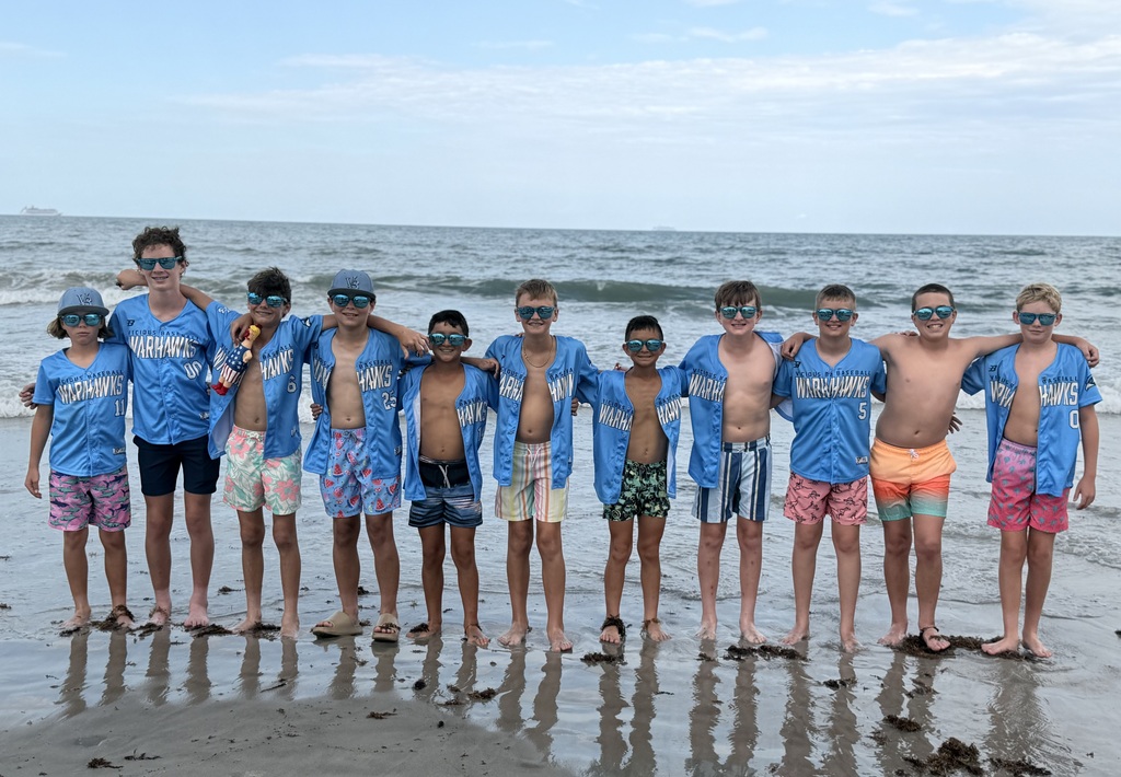 A group of baseball players wear swimsuits and matching baseball shirts while standing on the beach in front of the ocean.