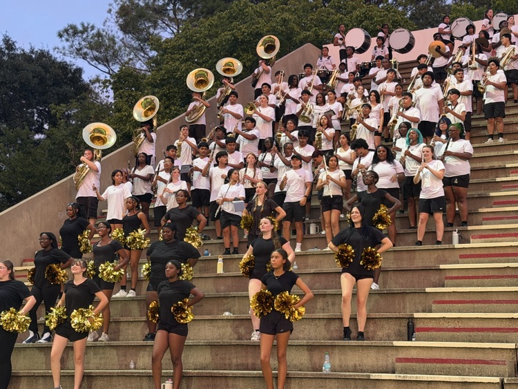 the marching band plays in the stand