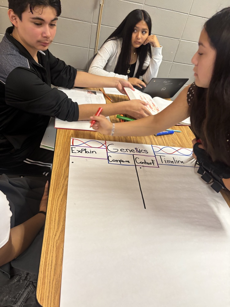 students work in groups to create posters 