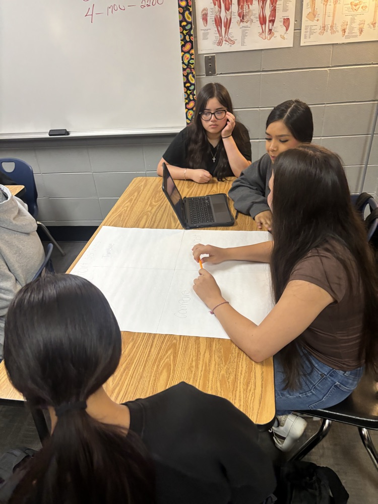 students work in groups to create posters 