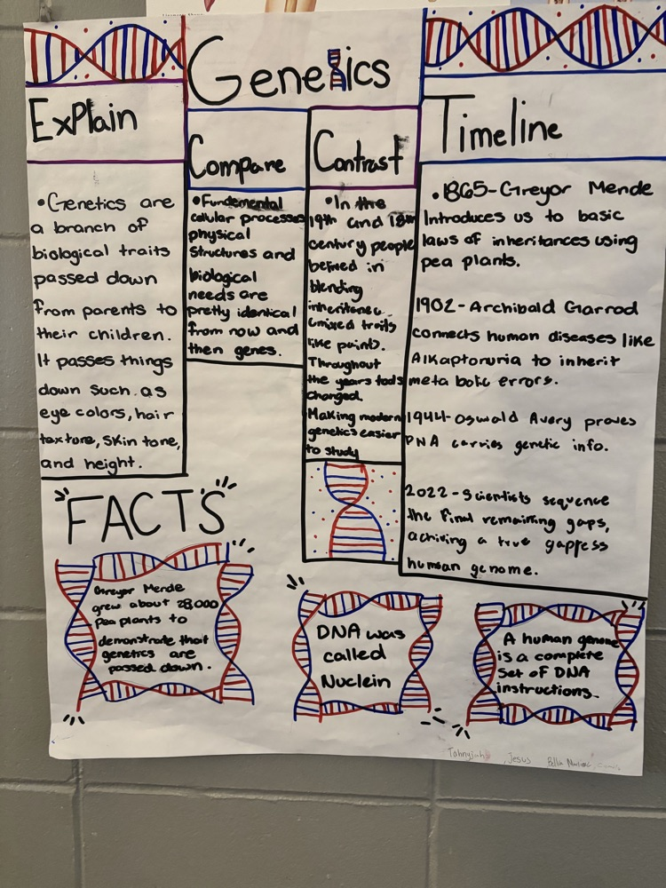 a student poster sample about genetics