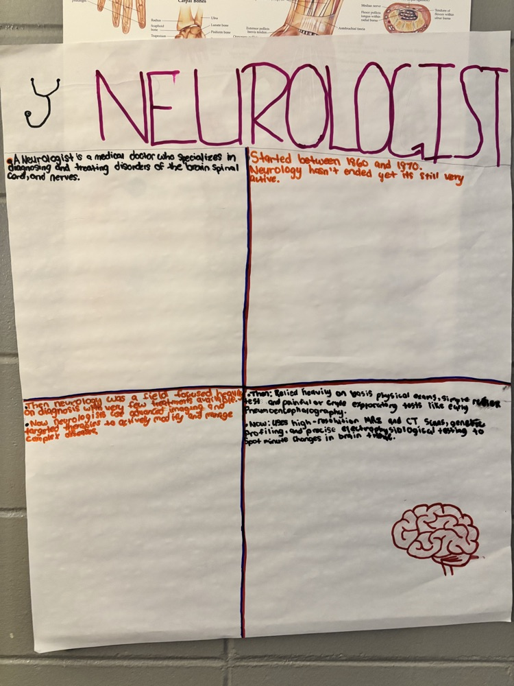 a student poster sample about the neuron system
