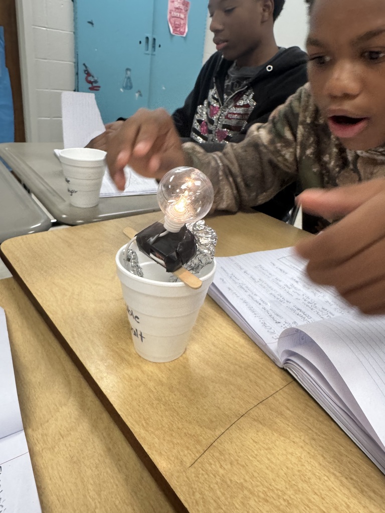 Students in Mrs. Grey's science class test salt, sugar, and baking soda through the use of electricity. What an amazing experience!