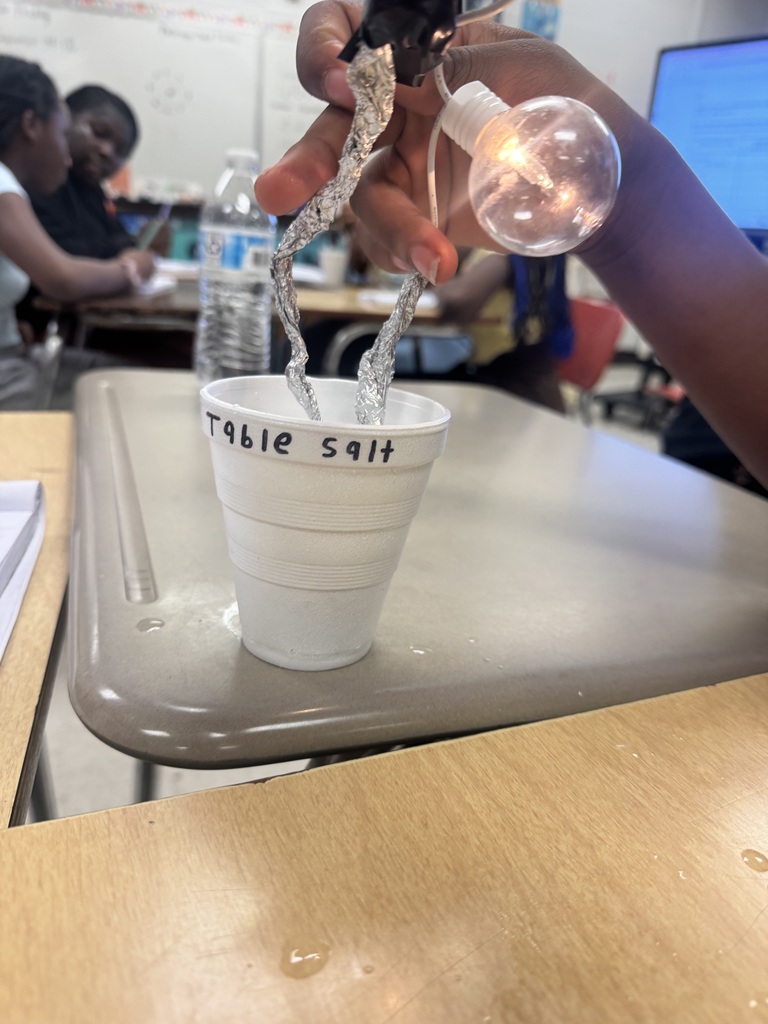 Students in Mrs. Grey's science class test salt, sugar, and baking soda through the use of electricity. What an amazing experience!