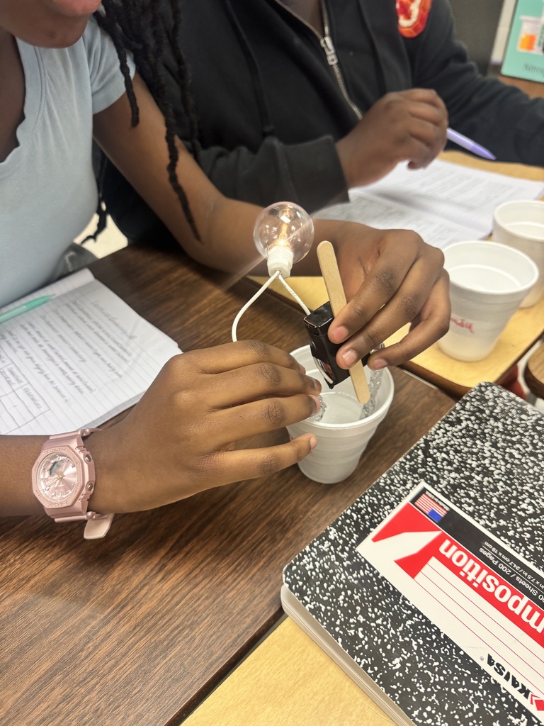Students in Mrs. Grey's science class test salt, sugar, and baking soda through the use of electricity. What an amazing experience!
