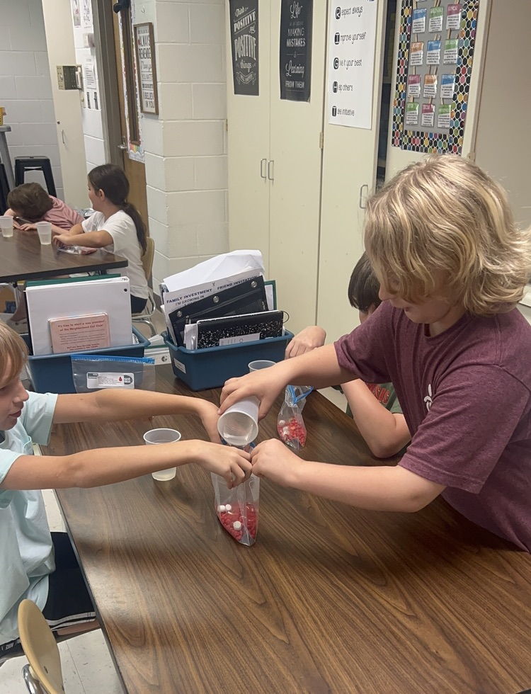 working together making their project
