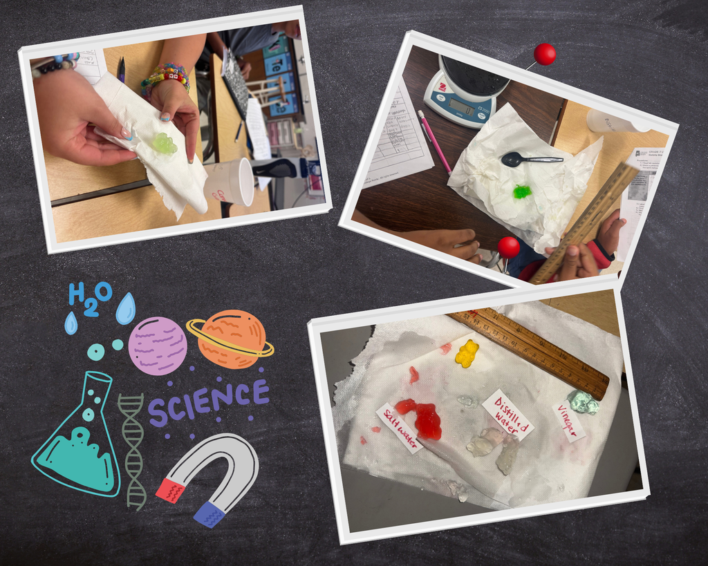 Students in 7th grade, used gummy bears to test salt water, vinegar, and distilled water .