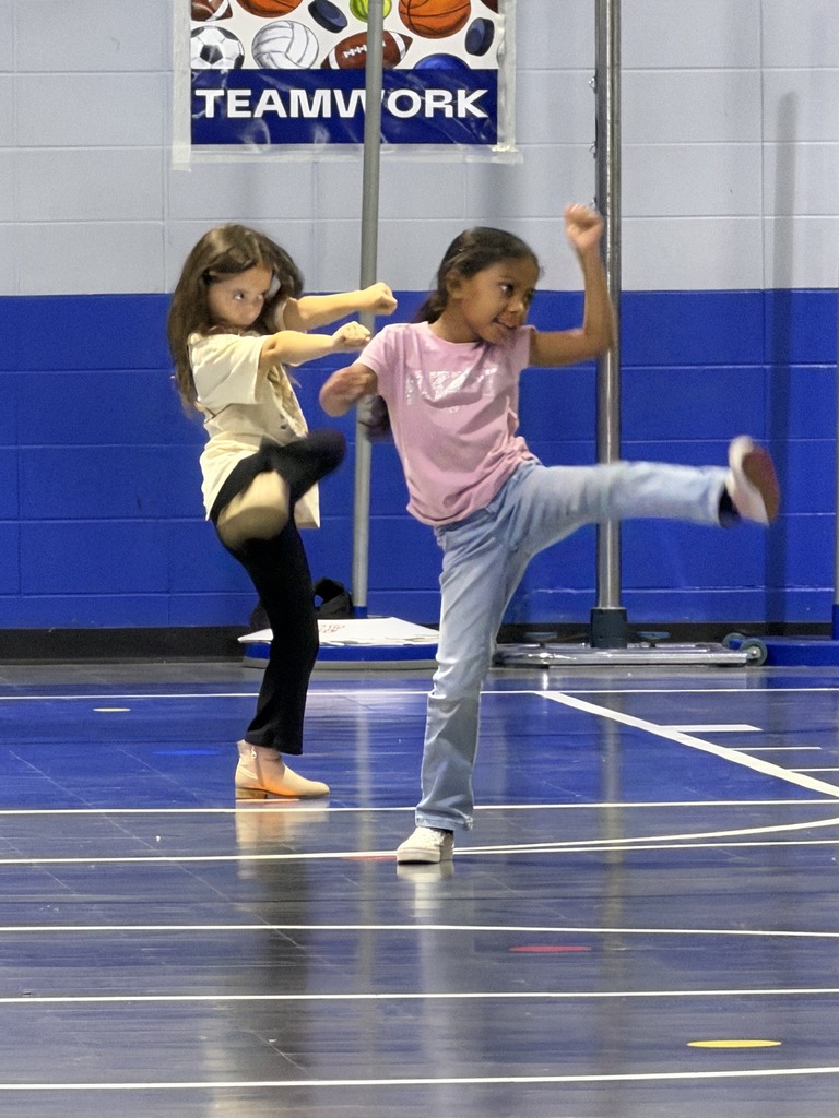 Students engaged in martial arts in PE class