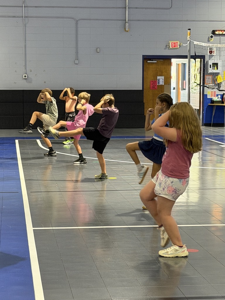 Students doing martial arts during PE