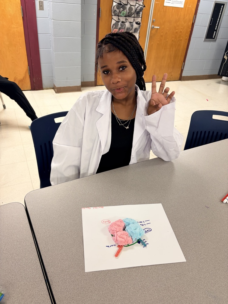 girl sitting in white lab coat with heart made of cotton candy
