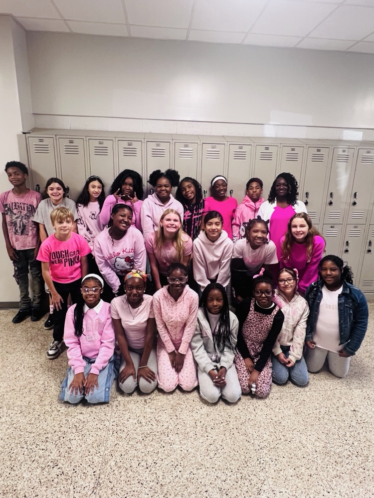 HMS 6th Grade Purple Team students pose together wearing pink in recognition of Breast Cancer Awareness Month.