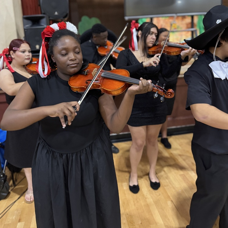 mariachi band members playing violins