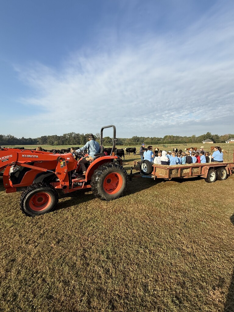 Tractor pulling a trailer of students past the cow pasture 