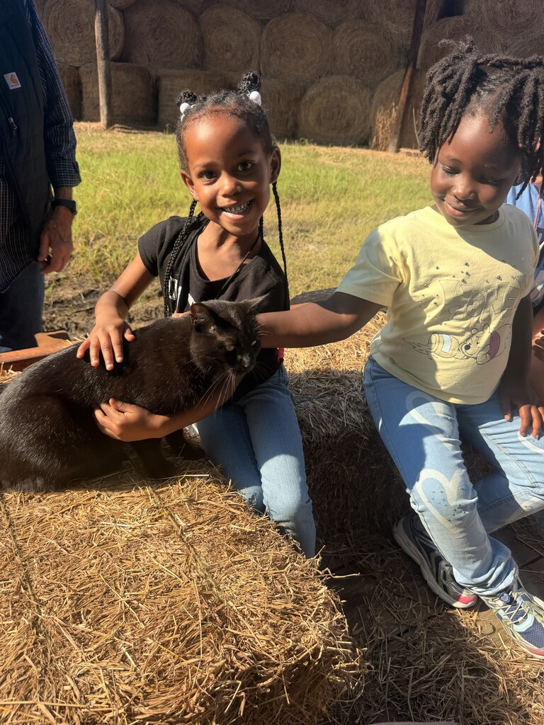 A little girl sitting on a hay bale on the trailer with a black cat laying on her lap. She is smiling at the camera 