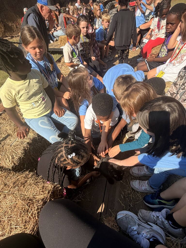 A black cat is in the middle of the studetns on the hay trailer and the children are reaching down petting the cat. 