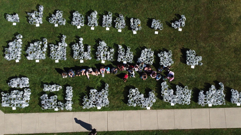 Students sit on the lawn with the sorted mums.