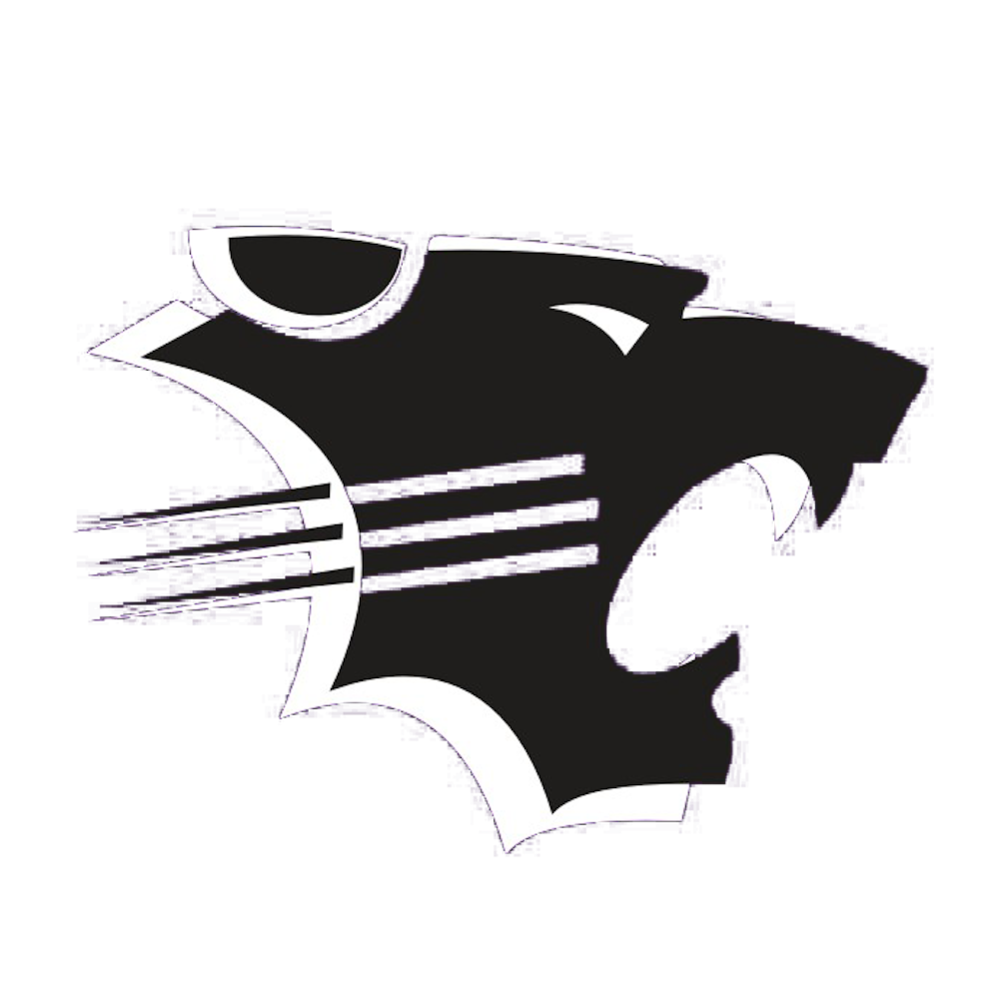 black panther logo