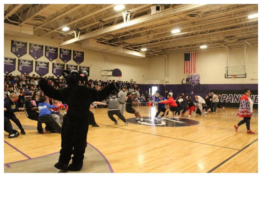 Panther mascot in front of students and staff playing tug o war