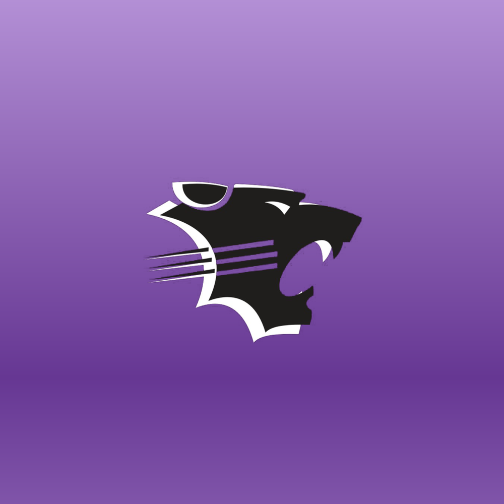 black panther logo with purple background