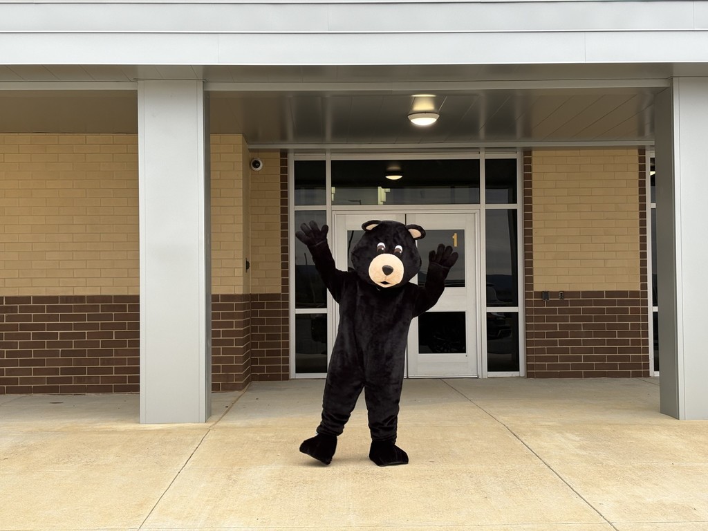 Bear Mascot
