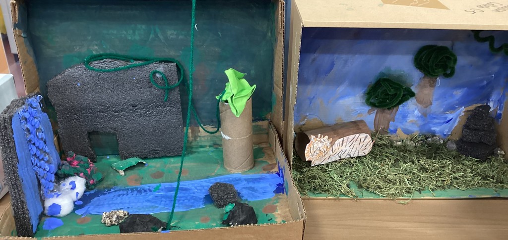 A box with blue paint for water and a waterfall. Another box with moss and pipe cleaners to look like trees in a forest