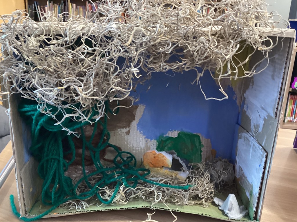 A box with moss and green string to look like a rain forest