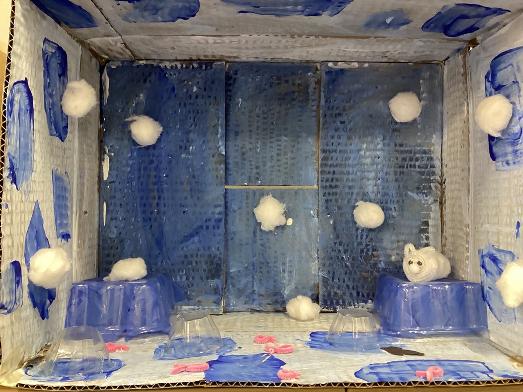 A box with blue paint, cotton balls, and plastic containers showing an arctic habitat