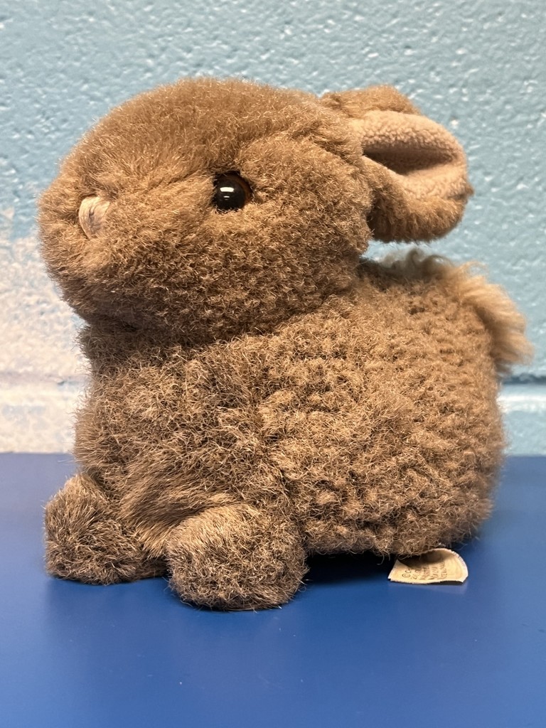 Stuffed rabbit