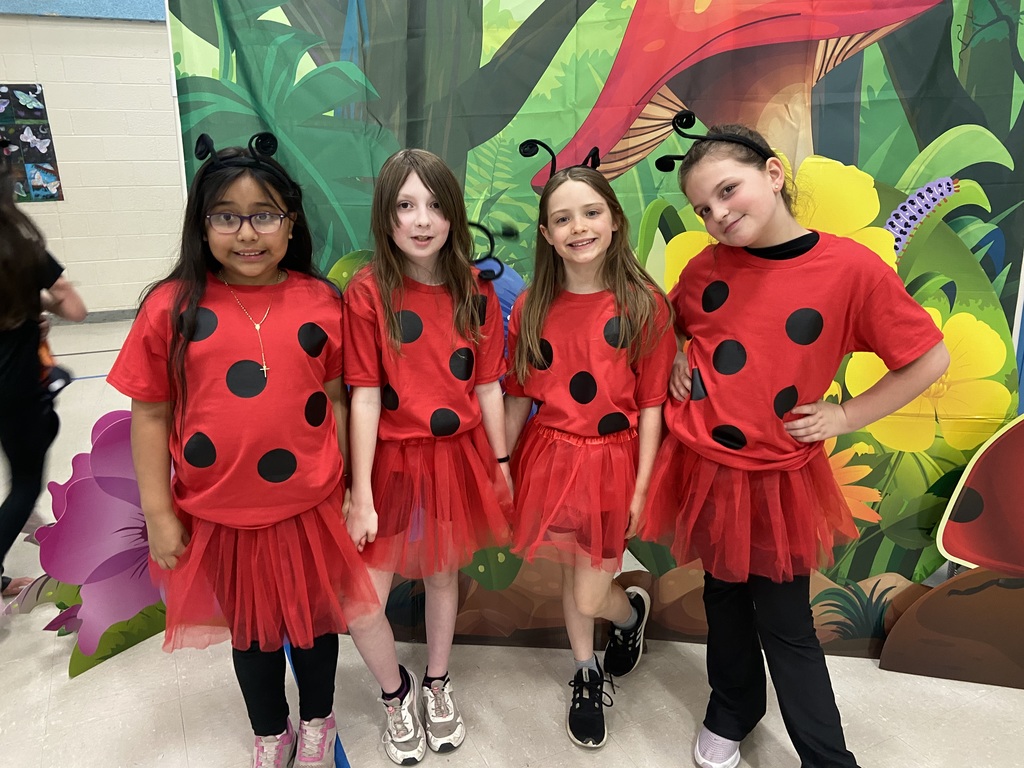 ladybugs