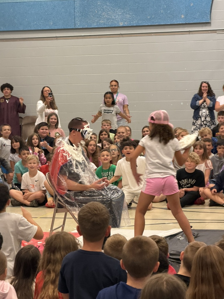 pie in the face