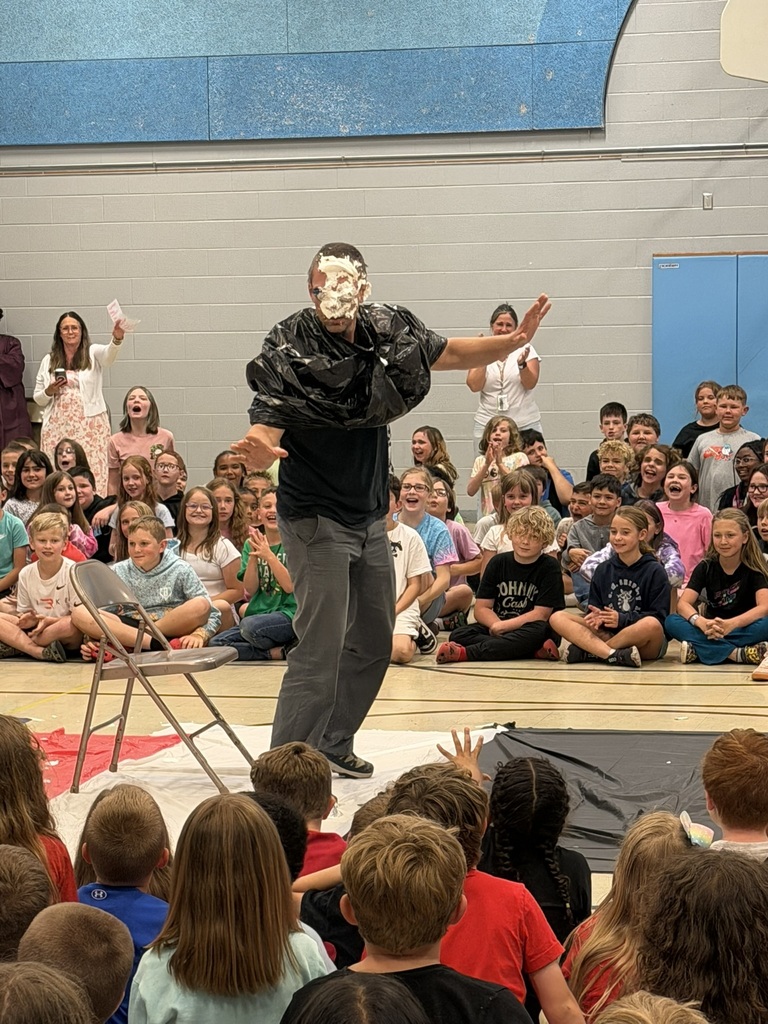 pie in the face