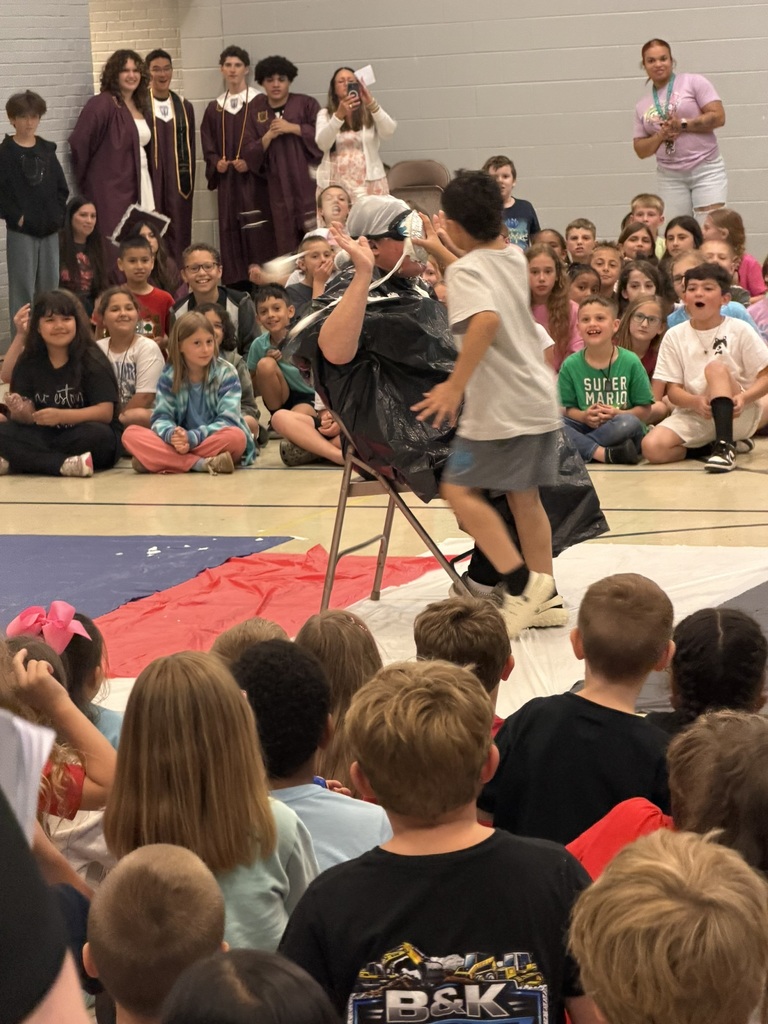 pie in the face