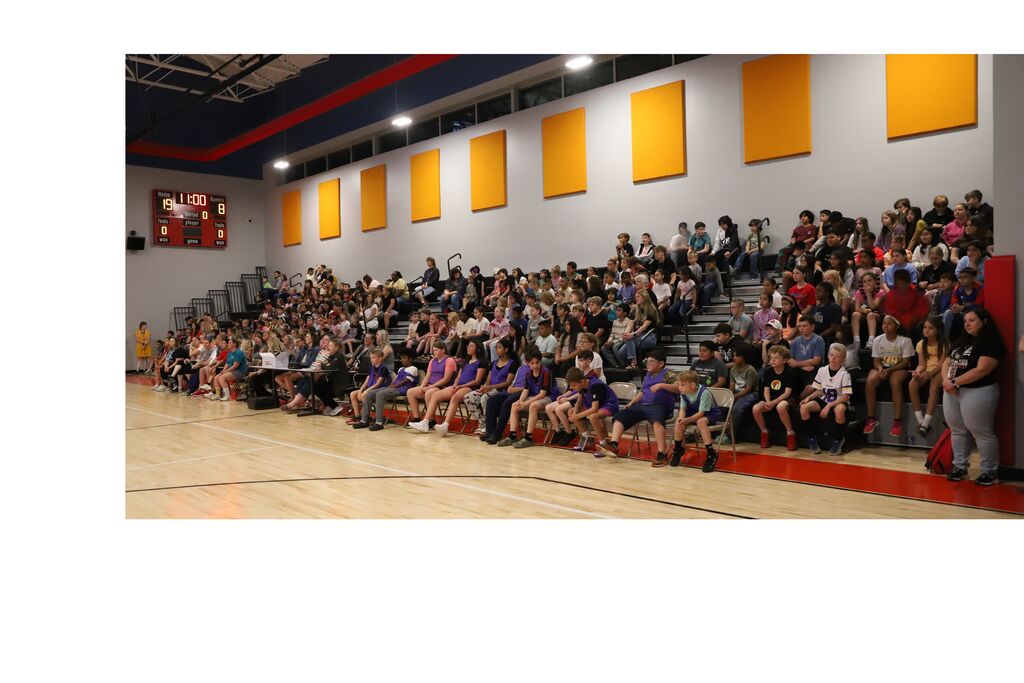 Students in the bleachers watching the game