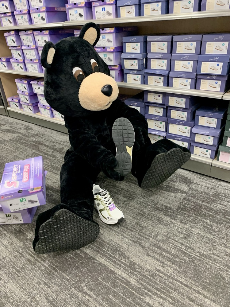 shoe