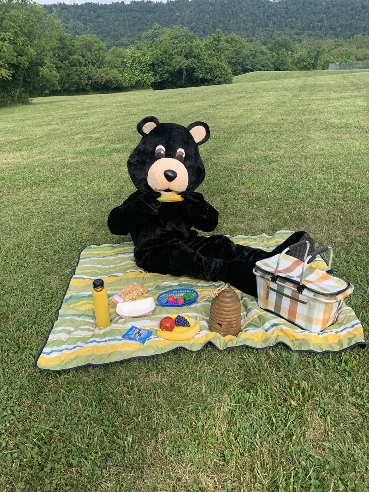 picnic