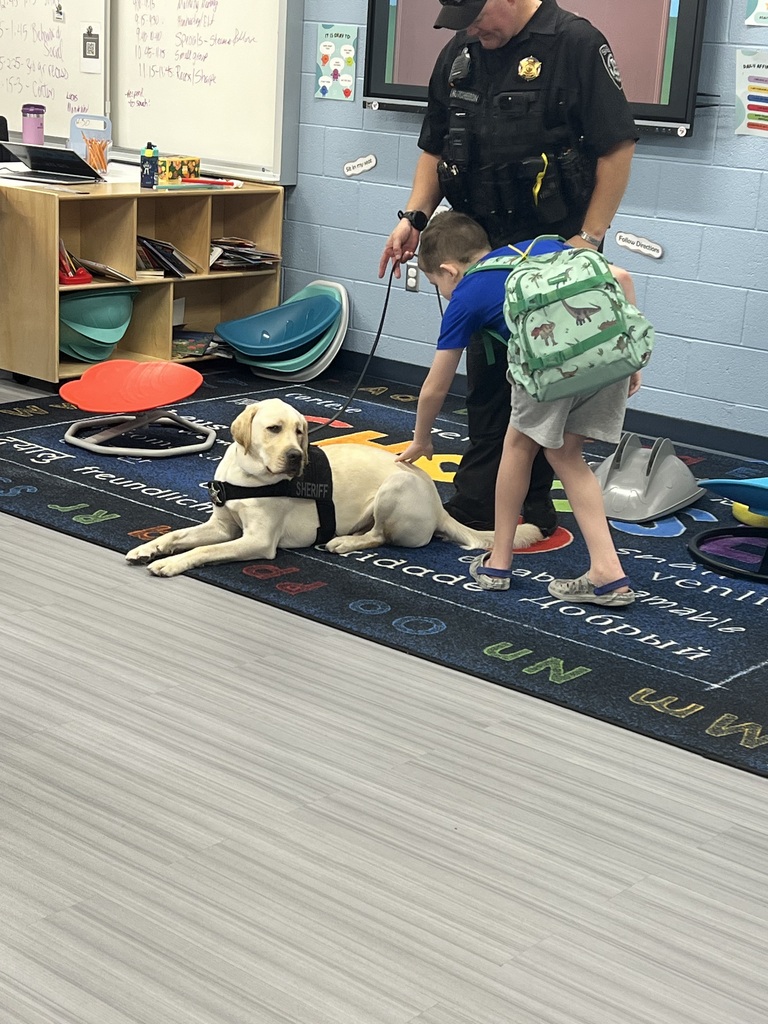 K-9 Rugby sitting in a classroom with students