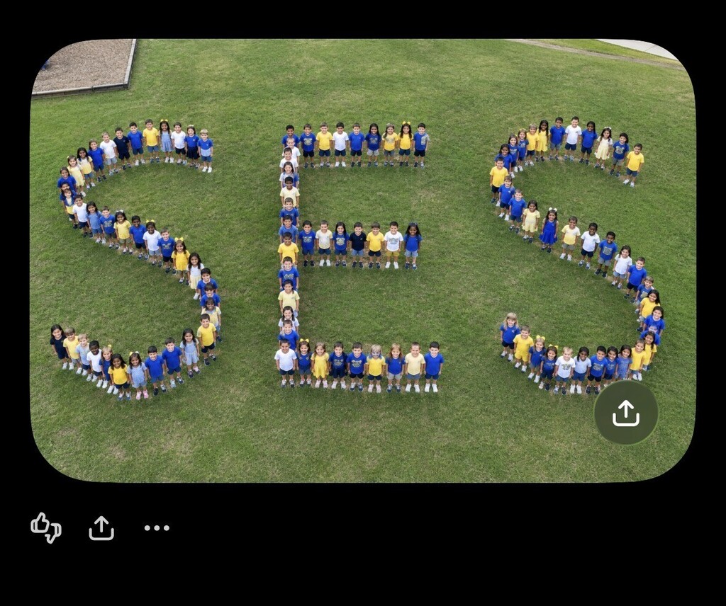 ses