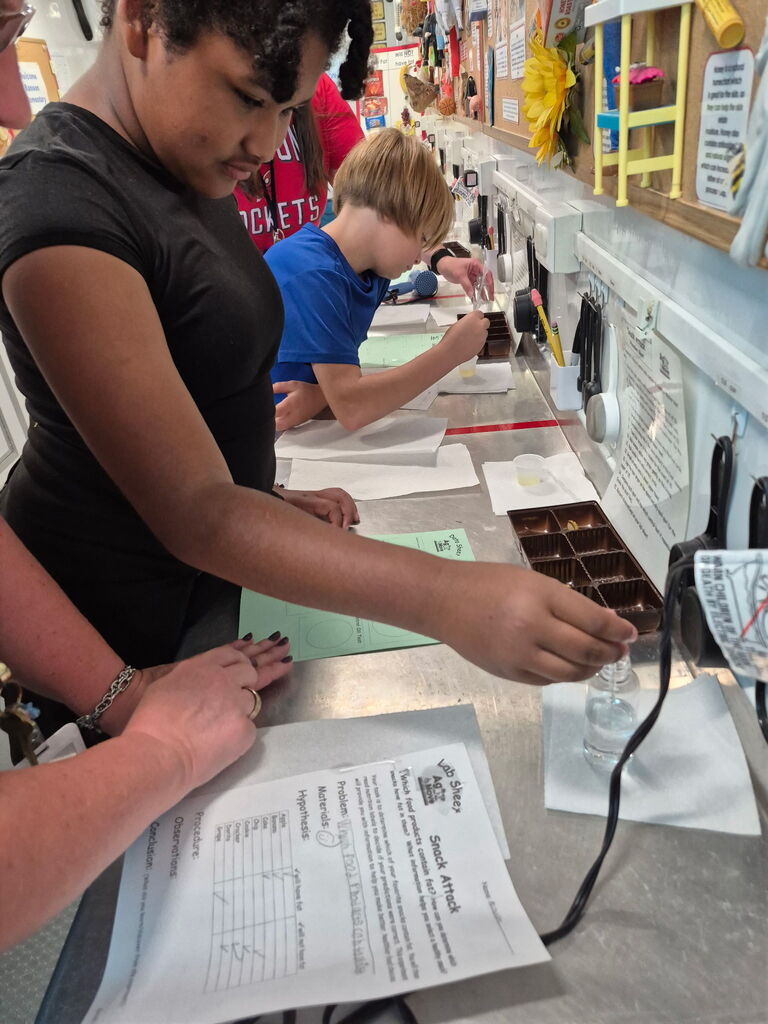 Students collecting data
