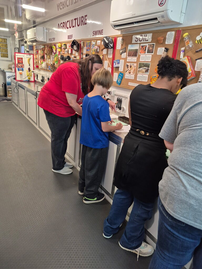 Students working on an activity