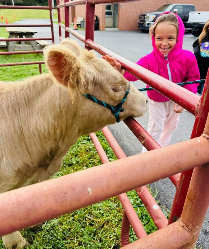 student petting a cow