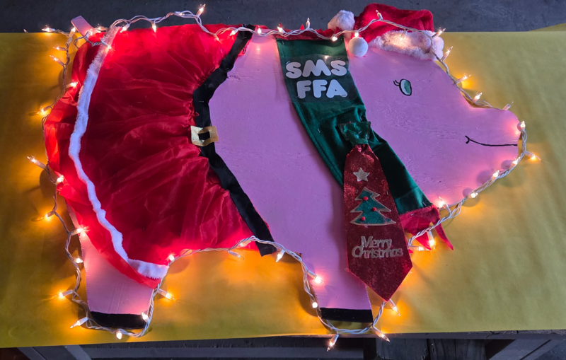 Sally the Pig decorated with lights